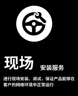 现场安装服务,进行现场安装、调试、保证产品能够在客户的网络环境中正常运行。